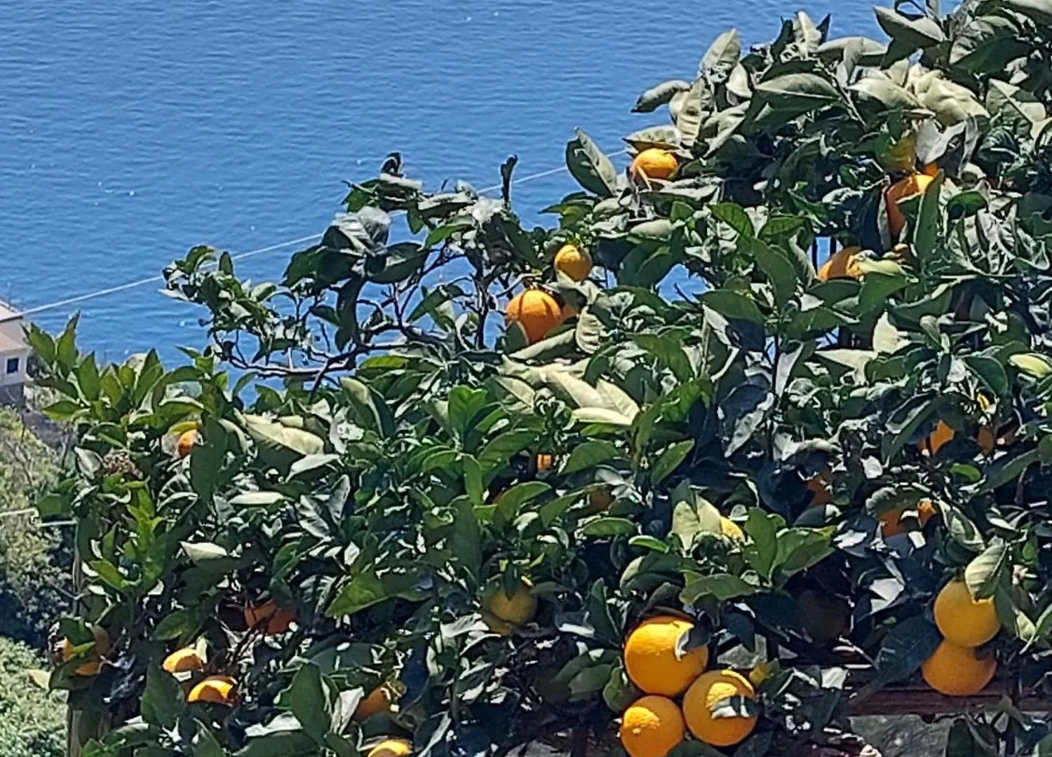 Casa Orizzonte Apartment Amalfi